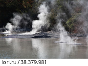 Wai-o-tapu geothermal Park, Rotorua, New Zealand. Стоковое фото, фотограф Сергей Стрелков / Фотобанк Лори