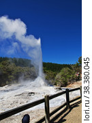 Wai-o-tapu / New Zealand - 18 Dec 2018: Lady knox geyser in wai-o-tapu thermal park, New Zealand. Стоковое фото, фотограф Сергей Стрелков / Фотобанк Лори