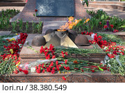 Вечный огонь у  Мемориала воинской славы "Аллея героев" в сквере на улице Солнцева. Город Руза, Рузский район Московской области, Россия (2022 год). Редакционное фото, фотограф Наталья Николаева / Фотобанк Лори