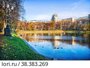 Патриаршие пруды осенним солнечным днем и утки в воде, Москва (2021 год). Стоковое фото, фотограф Baturina Yuliya / Фотобанк Лори
