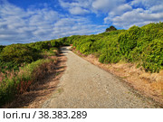 Road to hill of West coast, New Zealand. Стоковое фото, фотограф Сергей Стрелков / Фотобанк Лори