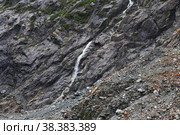 Nature of Franz Josef glacier, New Zealand. Стоковое фото, фотограф Сергей Стрелков / Фотобанк Лори