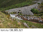 Nature of Tasman Glacier, New, Zealand, Стоковое фото, фотограф Сергей Стрелков / Фотобанк Лори