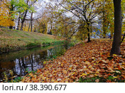 Ручей в осеннем парке. Стоковое фото, фотограф Ольга Дмитренко / Фотобанк Лори