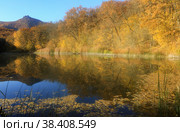 Autumn landscape where yellow trees near the lake are reflected in the water in the mountains. Стоковое фото, фотограф Яна Королёва / Фотобанк Лори