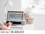 A young happy beautiful business woman freelancer, sitting in a home office with a laptop, smartphone and drinking coffee. A woman works at home. The cat is in the background. Стоковое фото, фотограф Photojuli / Фотобанк Лори