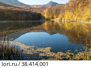 Gold autumn. Light fog near the lake in the early morning. Стоковое фото, фотограф Яна Королёва / Фотобанк Лори