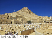 The old cemetry in Tarim, Yemen (2012 год). Стоковое фото, фотограф Сергей Стрелков / Фотобанк Лори