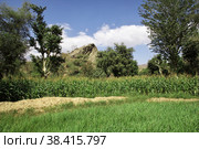 Wadi Sara in mountains, Yemen (2013 год). Стоковое фото, фотограф Сергей Стрелков / Фотобанк Лори