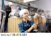 Woman brewer checks the amount of alcohol in beer using an alcoholmeter closeup. Стоковое фото, фотограф Яков Филимонов / Фотобанк Лори