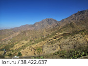 Wadi Sara in mountains, Yemen (2013 год). Стоковое фото, фотограф Сергей Стрелков / Фотобанк Лори