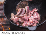 Рецепт приготовления картофеля с мясом и овощами в казане на природе. Приготовление еды. Кулинарные рецепты. Пошаговая фото инструкция по приготовлению. Стоковое фото, фотограф Photojuli / Фотобанк Лори