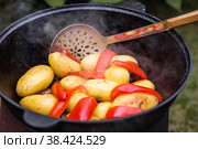 Рецепт приготовления картофеля с мясом и овощами в казане на природе. Приготовление еды. Кулинарные рецепты. Пошаговая фото инструкция по приготовлению. Стоковое фото, фотограф Photojuli / Фотобанк Лори