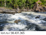 Behemoth — the rapid on the mountain the Chuya river in the Altai Republic near the mouth of the river Agulak. Nature Of Altai. The boiling water of a mountain river. Бегемот — стремнина на горной реке Чуя в Республике Алтай недалеко от устья реки Агулак. Природа Алтая. Кипящая вода горной реки. Стоковое фото, фотограф Мария Кошелева / Фотобанк Лори