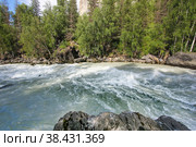 Behemoth — the rapid on the mountain the Chuya river in the Altai Republic near the mouth of the river Agulak. Nature Of Altai. The boiling water of a mountain river. Бегемот — стремнина на горной реке Чуя в Республике Алтай недалеко от устья реки Агулак. Природа Алтая. Кипящая вода горной реки. Стоковое фото, фотограф Мария Кошелева / Фотобанк Лори