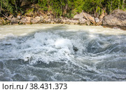 Behemoth — the rapid on the mountain the Chuya river in the Altai Republic near the mouth of the river Agulak. Nature Of Altai. The boiling water of a mountain river. Бегемот — стремнина на горной реке Чуя в Республике Алтай недалеко от устья реки Агулак. Природа Алтая. Кипящая вода горной реки. Стоковое фото, фотограф Мария Кошелева / Фотобанк Лори