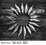 Circle of dried fish on a wooden table, black and white photo. Стоковое фото, фотограф Андрей С / Фотобанк Лори