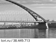 The bank of the Ob River (2021 год). Стоковое фото, фотограф ArhSib / Фотобанк Лори
