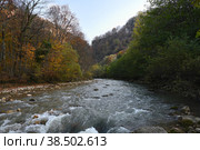 Река Курджипс осенью, хутор Гуамка, Краснодарский край. Стоковое фото, фотограф Садовский Анатолий / Фотобанк Лори