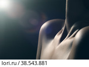 neck with clavicles. Стоковое фото, фотограф Lekcej / Фотобанк Лори