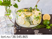 Citrus and Herb Lemonade. Стоковое фото, фотограф Татьяна Ворона / Фотобанк Лори