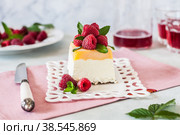 Lemon Semifreddo with Raspberries. Стоковое фото, фотограф Татьяна Ворона / Фотобанк Лори