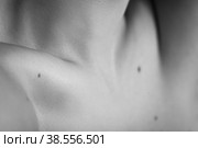 beautiful female clavicles. Стоковое фото, фотограф Lekcej / Фотобанк Лори