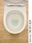 opened white toilet. Стоковое фото, фотограф Lekcej / Фотобанк Лори