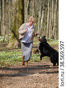 dog bites woman. Стоковое фото, фотограф Lekcej / Фотобанк Лори