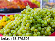Bunches of kish-mish grapes in the store. Стоковое фото, фотограф Яков Филимонов / Фотобанк Лори