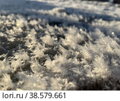 Изморозь на земле (иней) Стоковое фото, фотограф Дарья Смолкина / Фотобанк Лори
