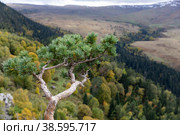 Россия. Адыгея. Природа Адыгеи. Кавказский заповедник. Плато Лаго-Наки. Russia. Adygea. The nature of Adygea. Caucasian Nature Reserve. The plateau of Lago Naki. Стоковое фото, фотограф Алексей Смышляев / Фотобанк Лори