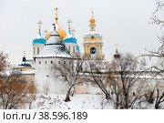 Новоспасский ставропигиальный мужской монастырь. Расположен в Москве за Таганкой, на Крутицком холме, на берегу Москвы-реки. Известен своими близкими отношениями с семьей Романовых. Москва, Крестьянская площадь, 10. (2021 год). Стоковое фото, фотограф Pukhov K / Фотобанк Лори