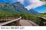 Kirstenbosch botanical garden in Cape Town, Canopy bridge at Kirstenbosch Gardens South Africa. Стоковое фото, фотограф Fokke Baarssen / Фотобанк Лори