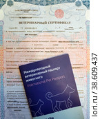 Международный ветеринарный паспорт животного и ветеринарный сертификат. Документы для перевозки  животного  в другую страну (2023 год). Редакционное фото, фотограф Ирина Терентьева / Фотобанк Лори