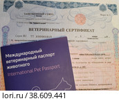Международный ветеринарный паспорт животного и ветеринарный сертификат. Документы на собаку для полета на самолете (2023 год). Редакционное фото, фотограф Ирина Терентьева / Фотобанк Лори