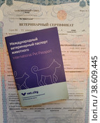 Международный ветеринарный паспорт животного и ветеринарный сертификат (2023 год). Редакционное фото, фотограф Ирина Терентьева / Фотобанк Лори