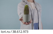 Man holding a cactus against studio blue background pain symbol (2022 год). Редакционное видео, видеограф Mihail Mihaylov / Фотобанк Лори