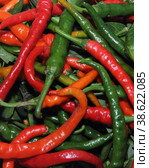 Spicy chili. Astrakhan pepper on a white background. To give taste, sharpness and piquancy to the prepared dish. The ingredient from the recipe. Стоковое фото, фотограф Елена Бобкова / Фотобанк Лори