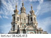 Russia, St. Petersburg. Smolny Cathedral (Church of the Resurrection) (2010 год). Стоковое фото, фотограф Анна Кривицкая / Фотобанк Лори
