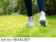 Runner legs running on a green lawn closeup on shoes. Fitness woman sunrise jogging workout welness concept. Стоковое фото, фотограф Photojuli / Фотобанк Лори