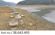Водохранилище Алибей (Alibey Dam). Султангази. Стамбул. Турция (2023 год). Стоковое фото, фотограф lana1501 / Фотобанк Лори