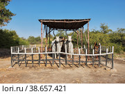 Art in Mohenjo daro ruins close Indus river in Larkana district, Sindh, Pakistan (2021 год). Редакционное фото, фотограф Сергей Стрелков / Фотобанк Лори