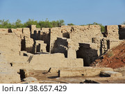 Mohenjo daro ruins close Indus river in Larkana district, Sindh, Pakistan (2021 год). Стоковое фото, фотограф Сергей Стрелков / Фотобанк Лори