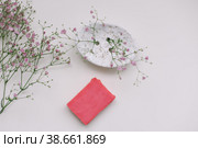 Natural handmade soap bar with ceramic soap dish and flowers, spa organic soap, sustainable lifestyle. Стоковое фото, фотограф Galina kondratenko / Фотобанк Лори