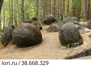 Kirov, Russia, 08.01.2021 Close-up ancient Zhukovlyansky boulders in the forest. Стоковое фото, фотограф Попова Ольга / Фотобанк Лори