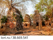 Ruins of ancient Hindu Prasat Pram Temple at Koh Ker. Siem Reap, Cambodia (2013 год). Стоковое фото, фотограф Юлия Бабкина / Фотобанк Лори