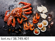 Boiled Seafood on ice - King Crab, Prawn Shrimp, Mussels Clams, Scallops in shells, Octopus mini, Squid on Grill on dark background. Стоковое фото, фотограф Лисовская Наталья / Фотобанк Лори