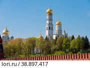 Вид на Московский Кремль, колокольню  Ивана Великого  и соборы на Соборной площади летним днем. Москва, Россия (2019 год). Стоковое фото, фотограф Pukhov K / Фотобанк Лори