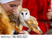 Russia. Vyborg. 08.20.2020 girl in a medieval costume with an owl. knights festival. Стоковое фото, фотограф Поликарпов Владимир Владимирович / Фотобанк Лори